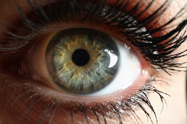 Ultrassonografia ou Ecografia Ocular